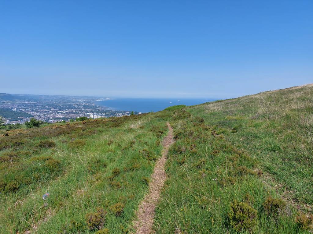 Across the Cavehill