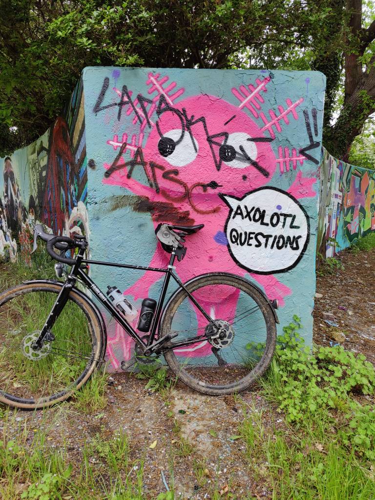 Velo orange mudguards