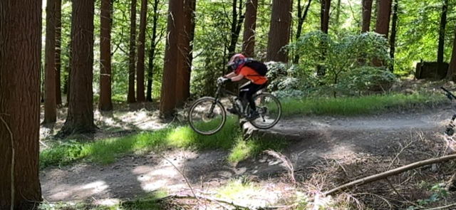 Whyte 405, Pikes Teeth