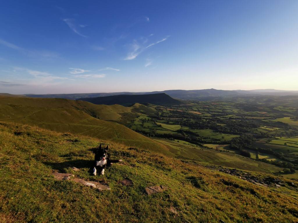 IMG_20230816_194505 (Medium)