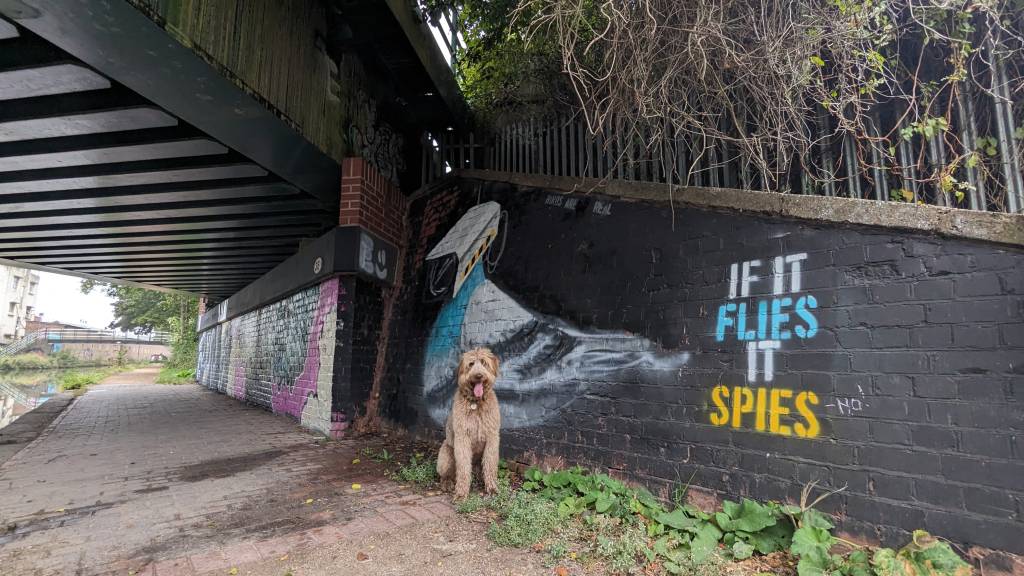 PXL_20230901_060046949