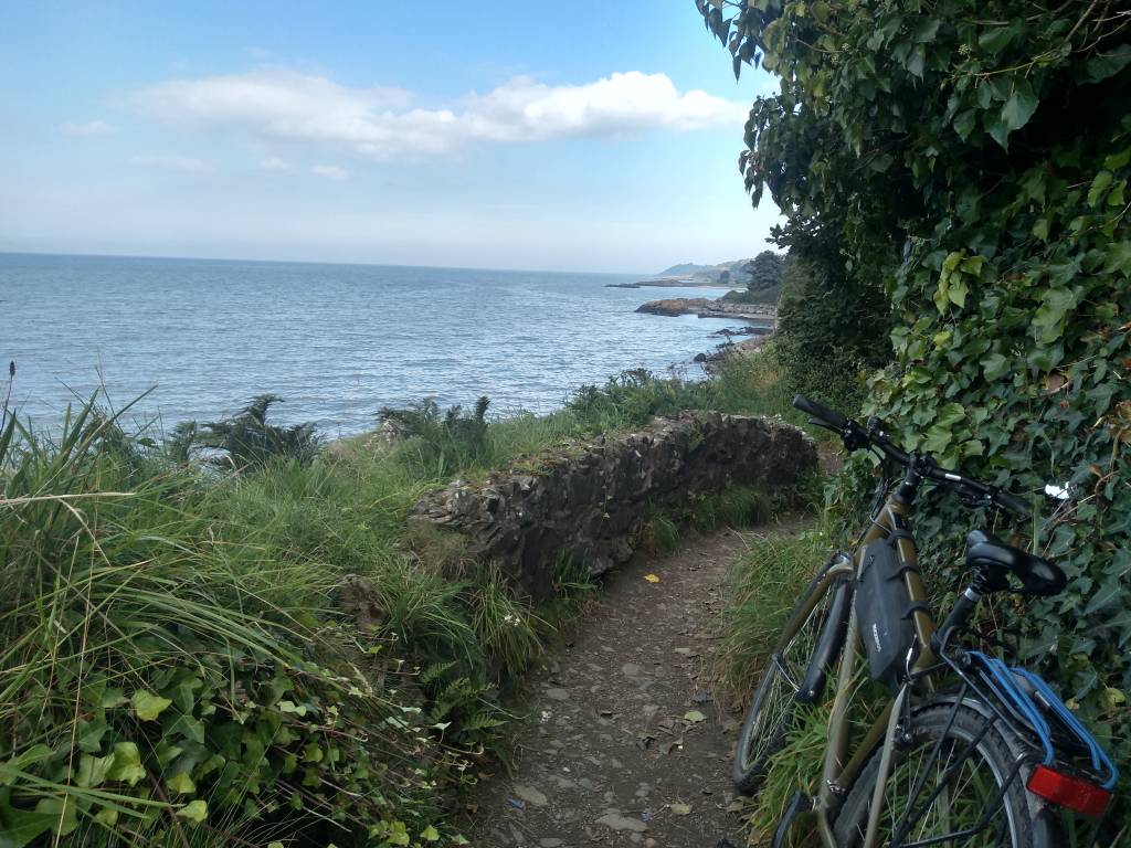 IMG_20230906_154349248_HDR