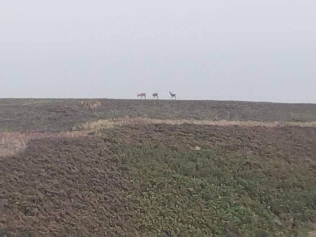 IMG_20230907_105103007