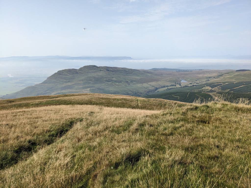 PXL_20230908_104948967 (1)