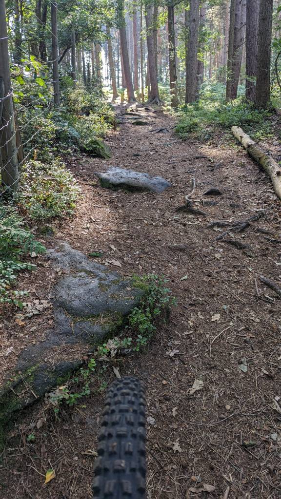 PXL_20230909_135206744.MP