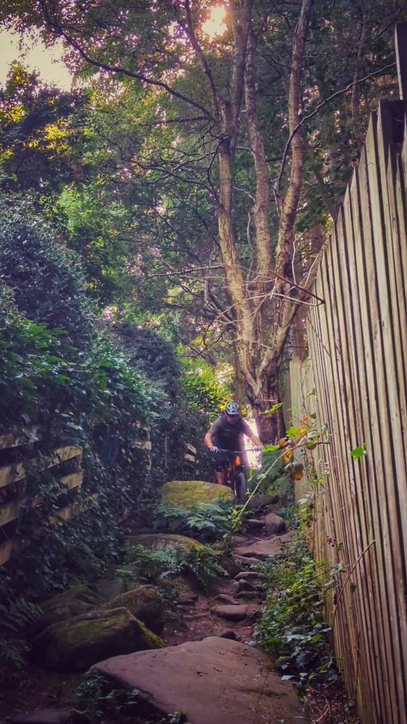 PXL_20230909_141354903.LS_exported_2003-01~2-01