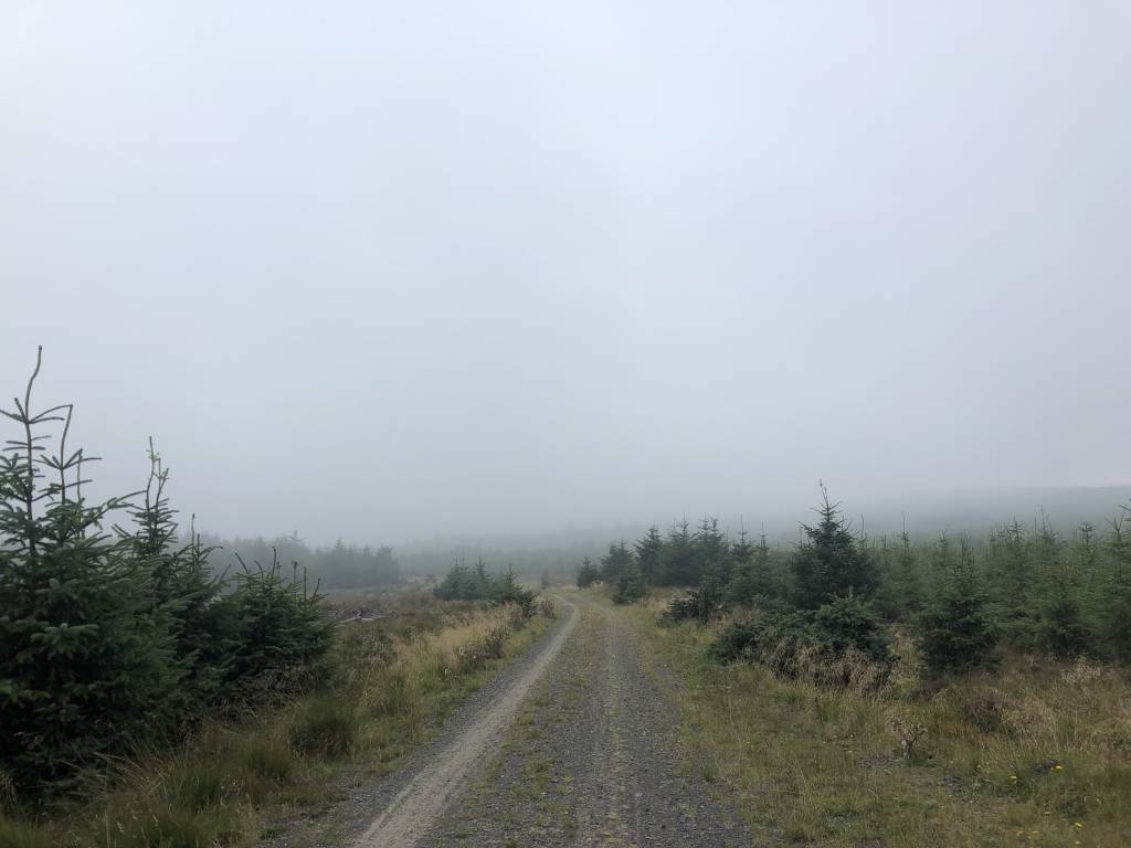 96DF7A54-0C0D-4FE1-94CA-6455E9C3BDBD