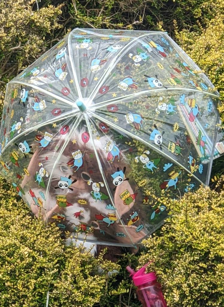 PXL_20230819_150148449