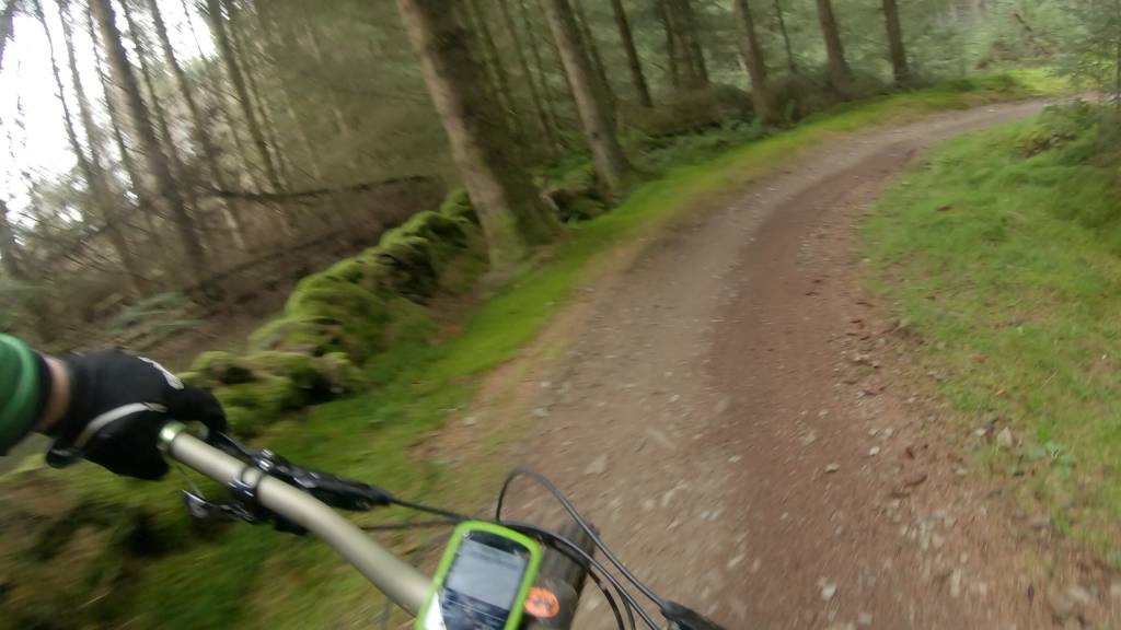 GH019184_1694457971541