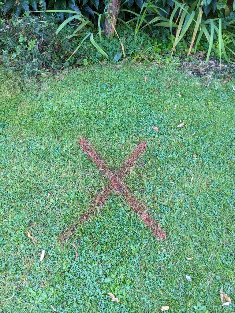 PXL_20230914_070608777