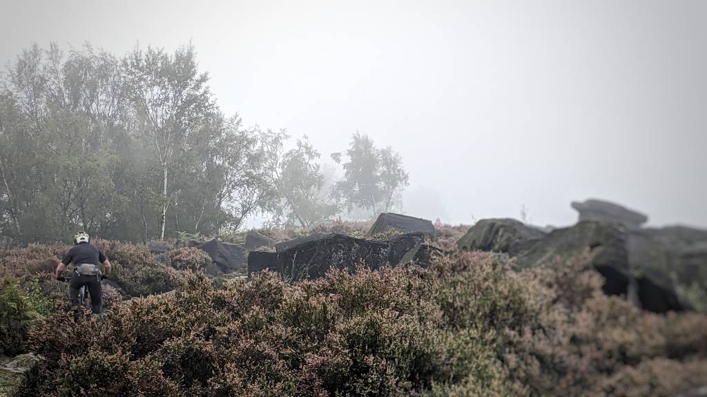 PXL_20230916_090959031-01