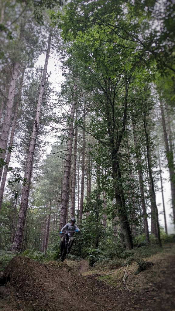 PXL_20230916_100323939-01