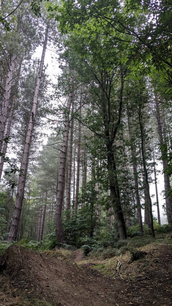 PXL_20230916_100328081-01