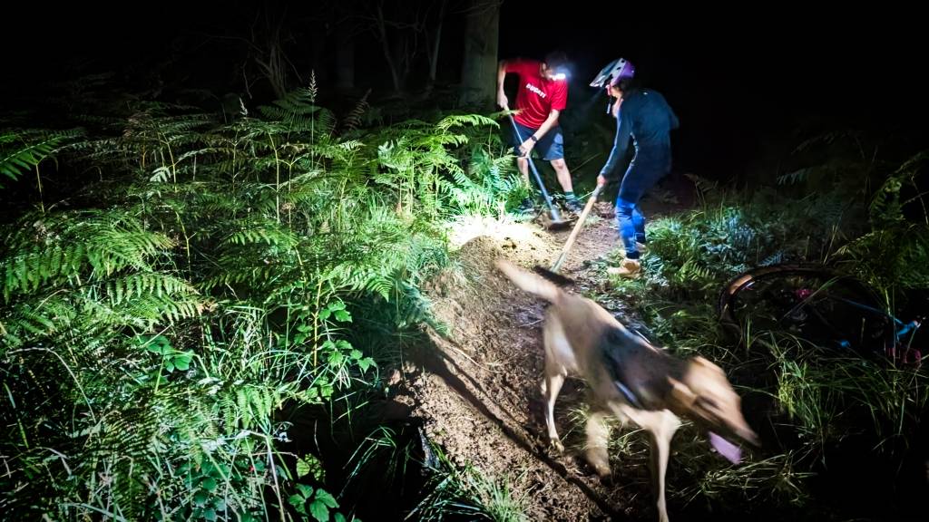 2023 09 22 Trail Pixies 04