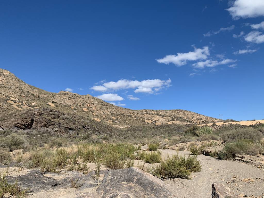 BBD0C8DE-CE87-417D-B9B5-F3369835B25F