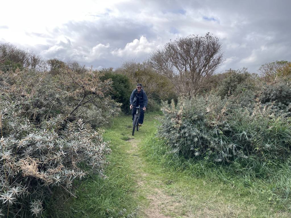 6F1AEDD5-1BD1-4435-A069-532846A896DA