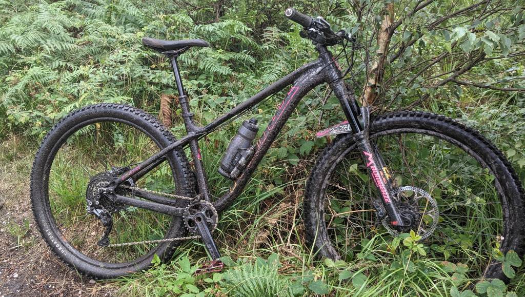 PXL_20230806_131236398_exported_1696021929895