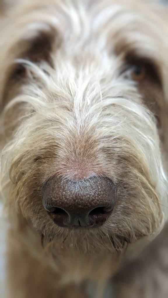 PXL_20231002_115457378.PORTRAIT