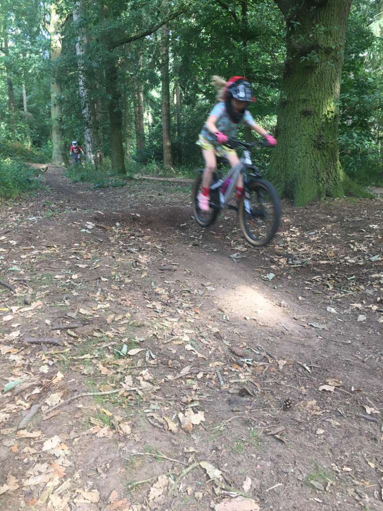 3ff403ee-e4d3-41c3-8fcb-0ed4a031f68e