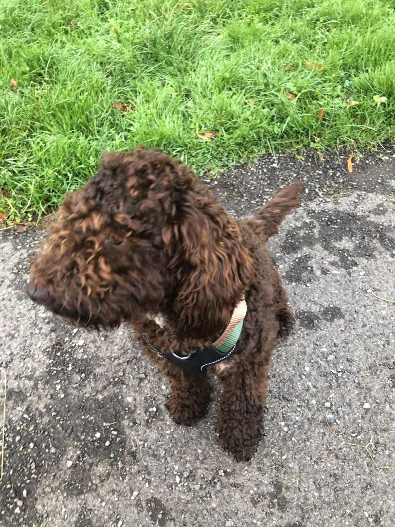 21FE4DFC-5E1B-4CFD-ACEA-05A240714B52