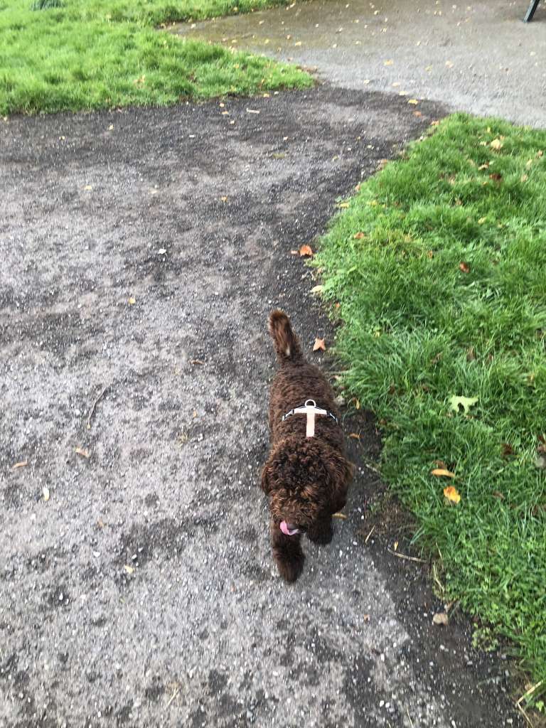 B7229418-0FF8-4677-B6C8-F4104575A30D