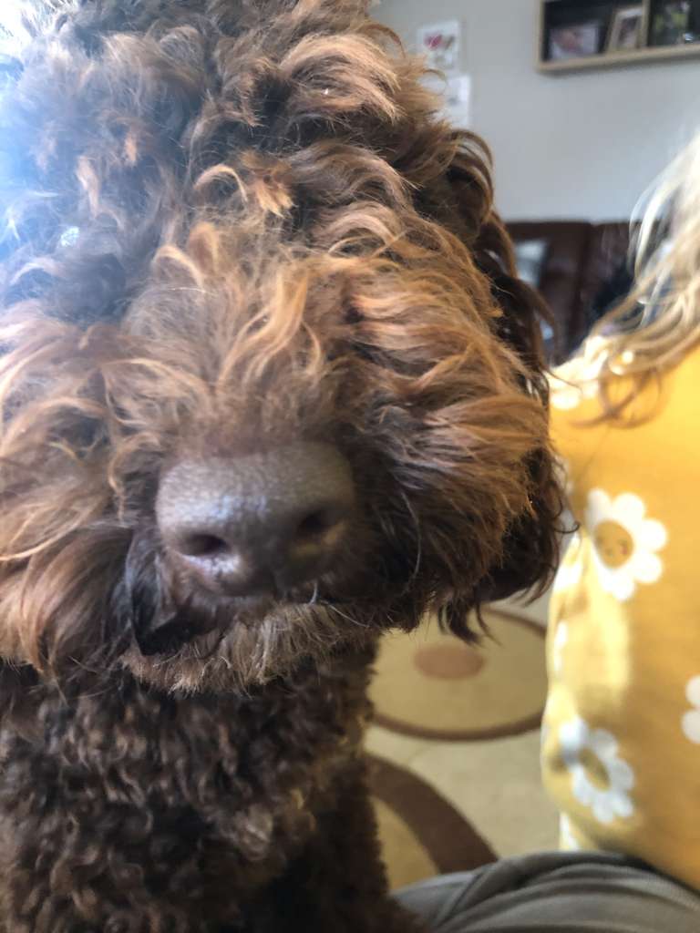 C3BB043C-60A9-445A-BA8E-01690CD0B423