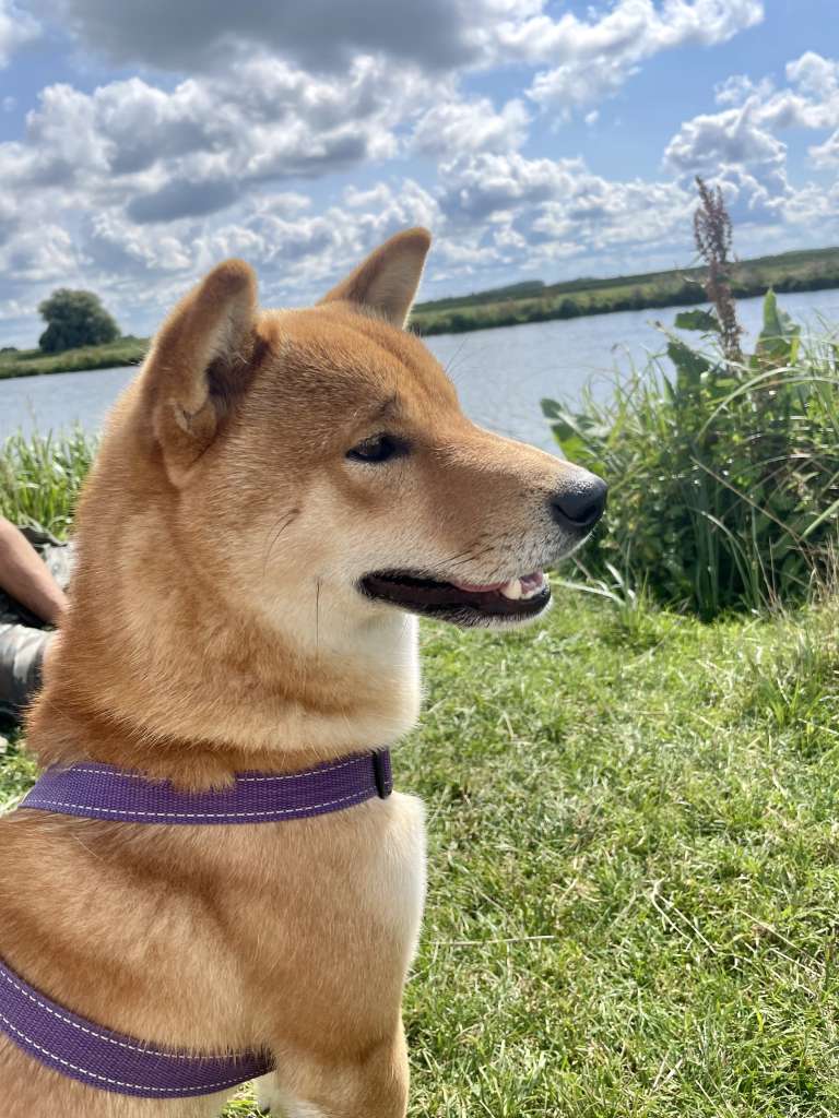 8316E499-FF38-45BE-85DD-35CD17669DB2