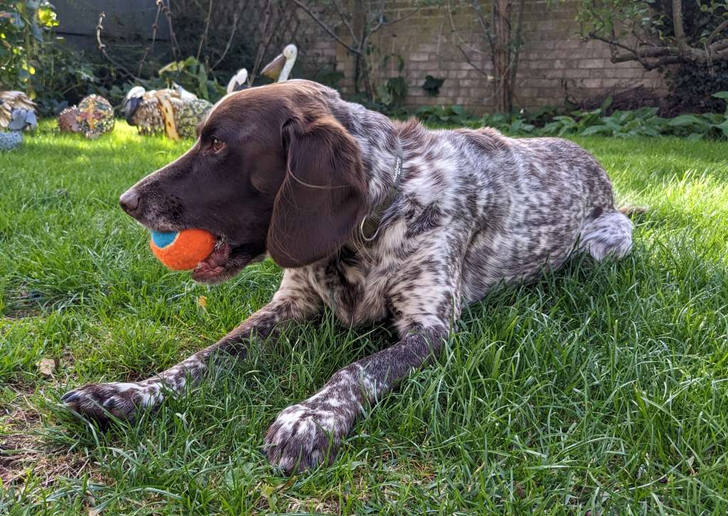 Polish_20231009_025556936