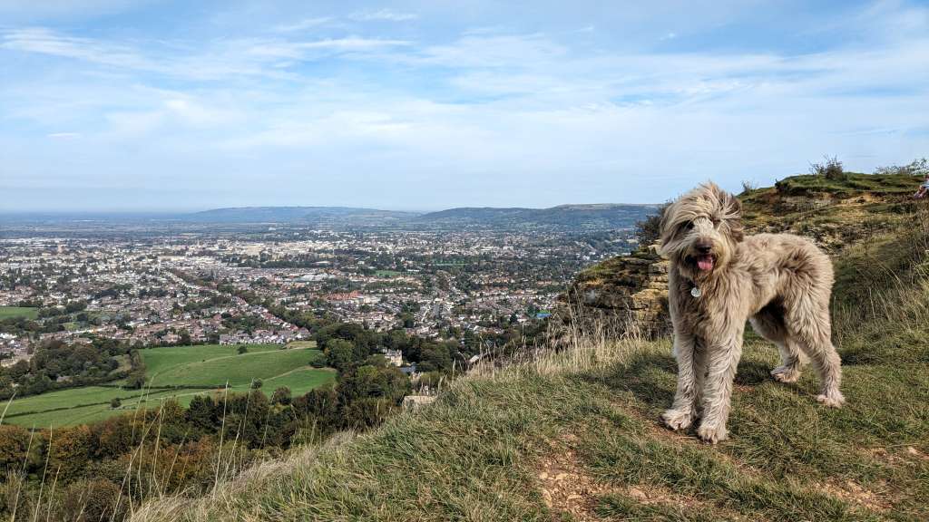 PXL_20231008_105432420~2-01