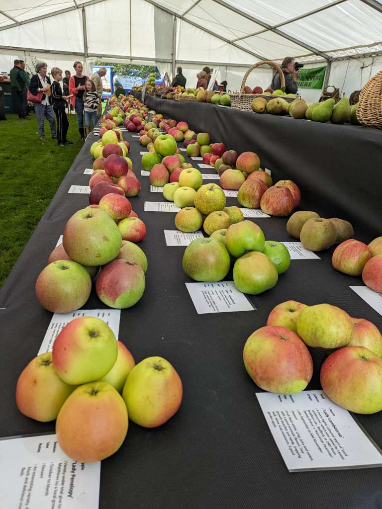 PXL_20231007_091506983