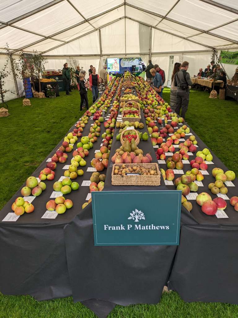 PXL_20231007_091502187