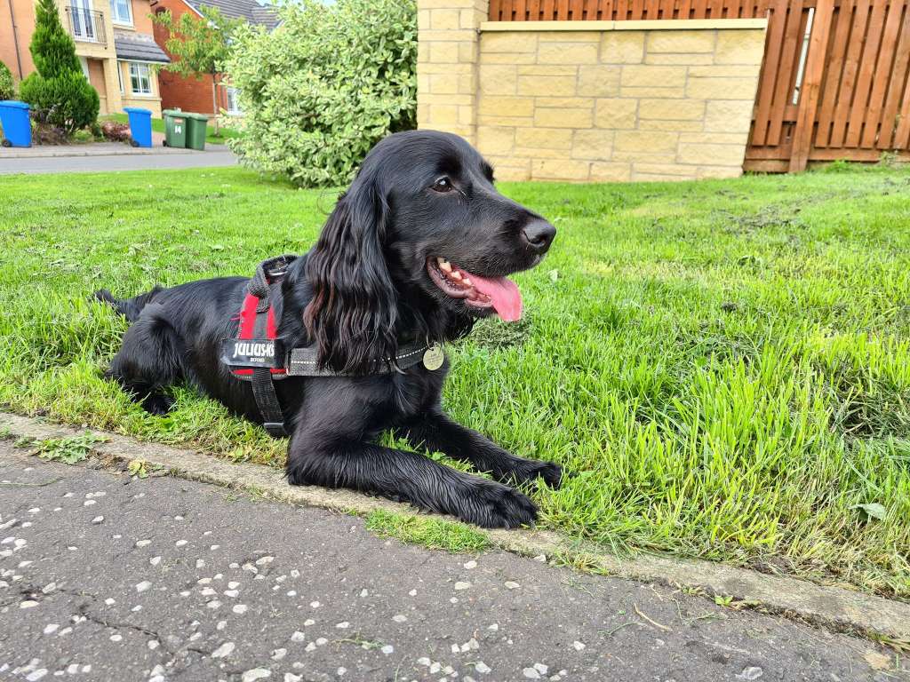 271762272_10158410454447233_5004275786064628231_n