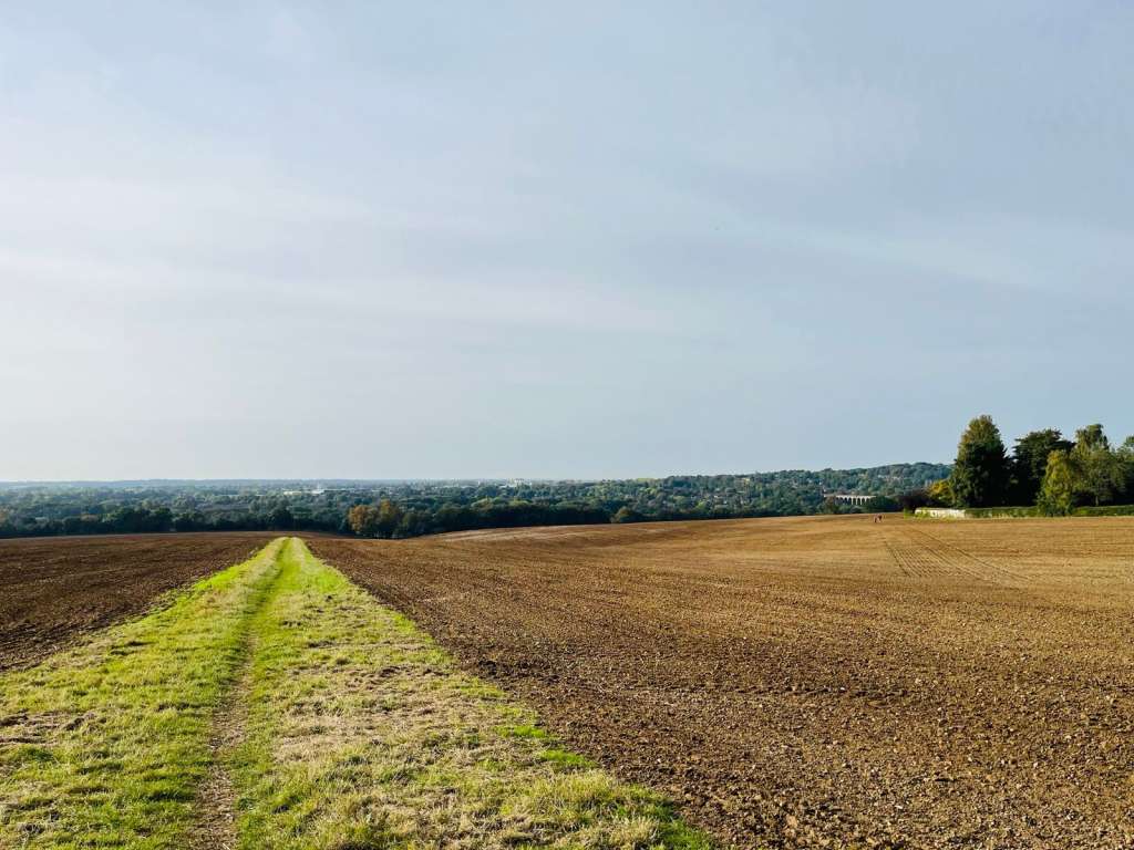 ZumhIckKjtRCXFOTDZQ1ixMoWIffRFxtxOK-HsaATAM-2048x1536