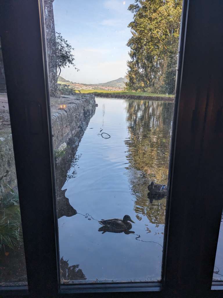 PXL_20231009_141311151