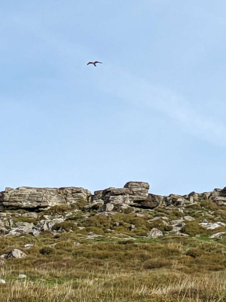 PXL_20231010_114354323