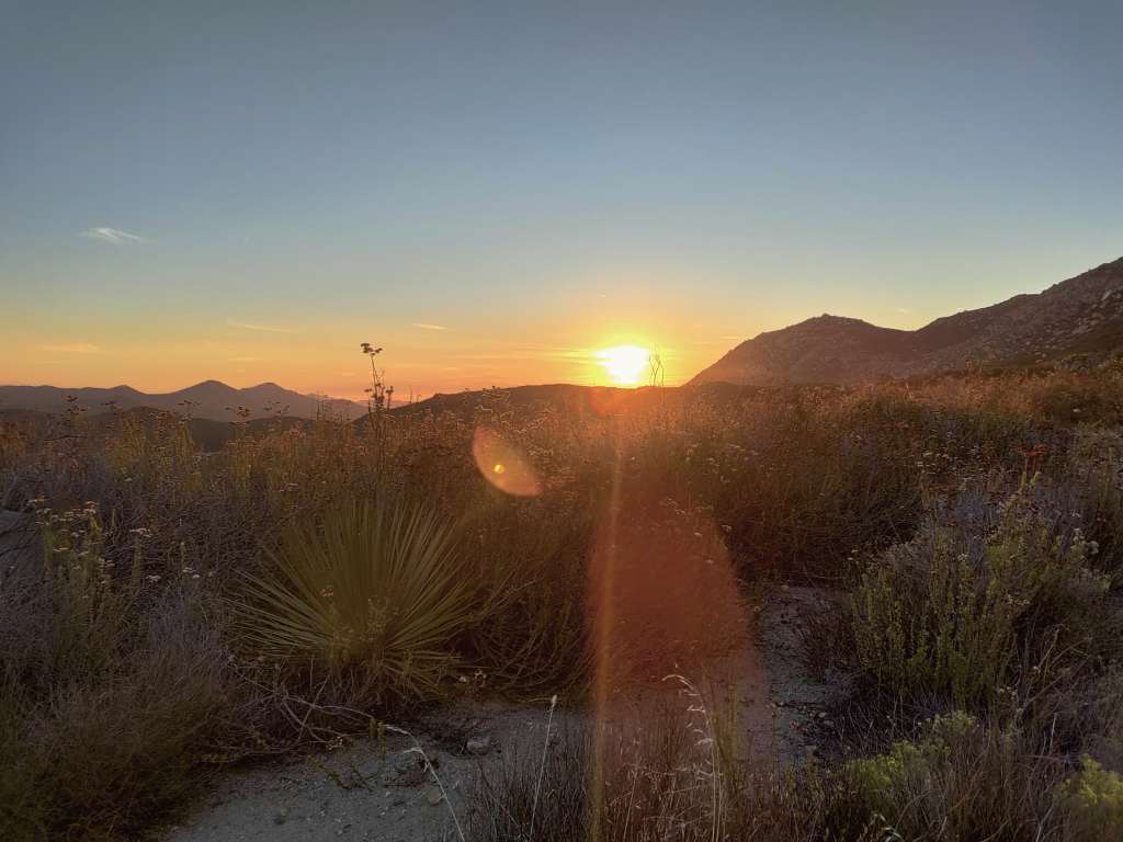 IMG_20231009_181228~2