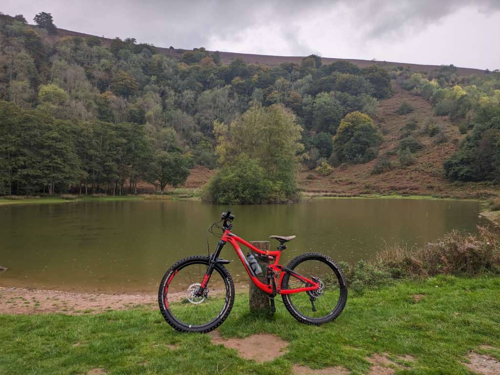 PXL_20231011_140440774