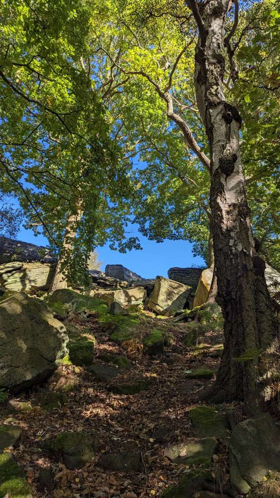 PXL_20231014_123605190.MP