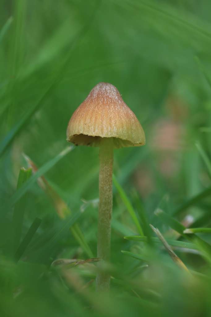 20230729142200_IN9A6769