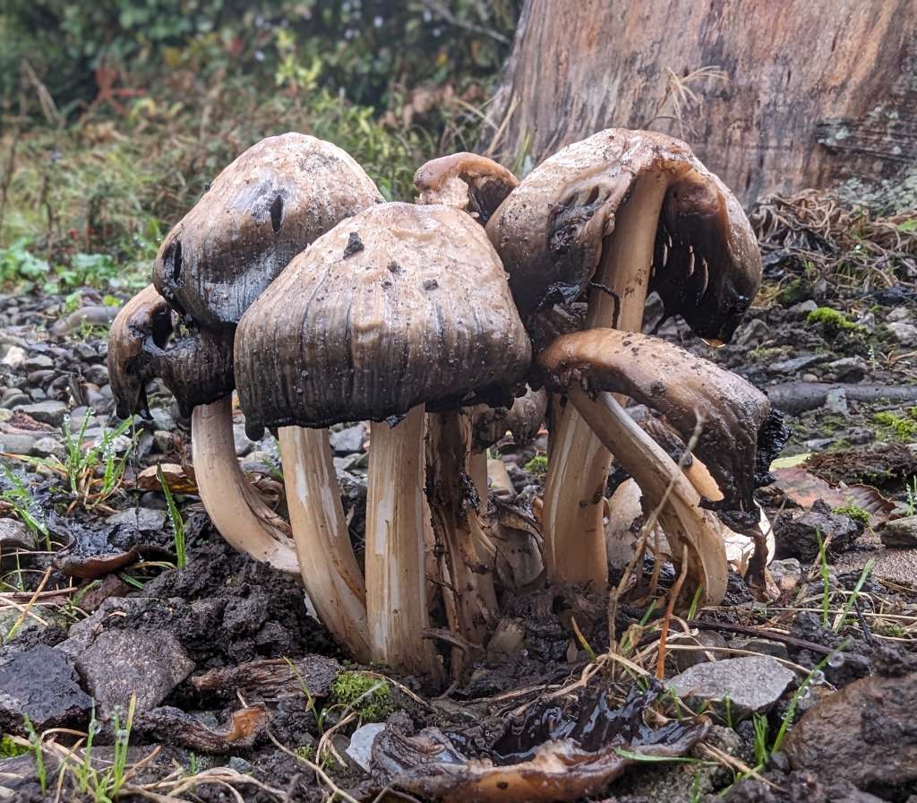 PXL_20231013_072032540~2