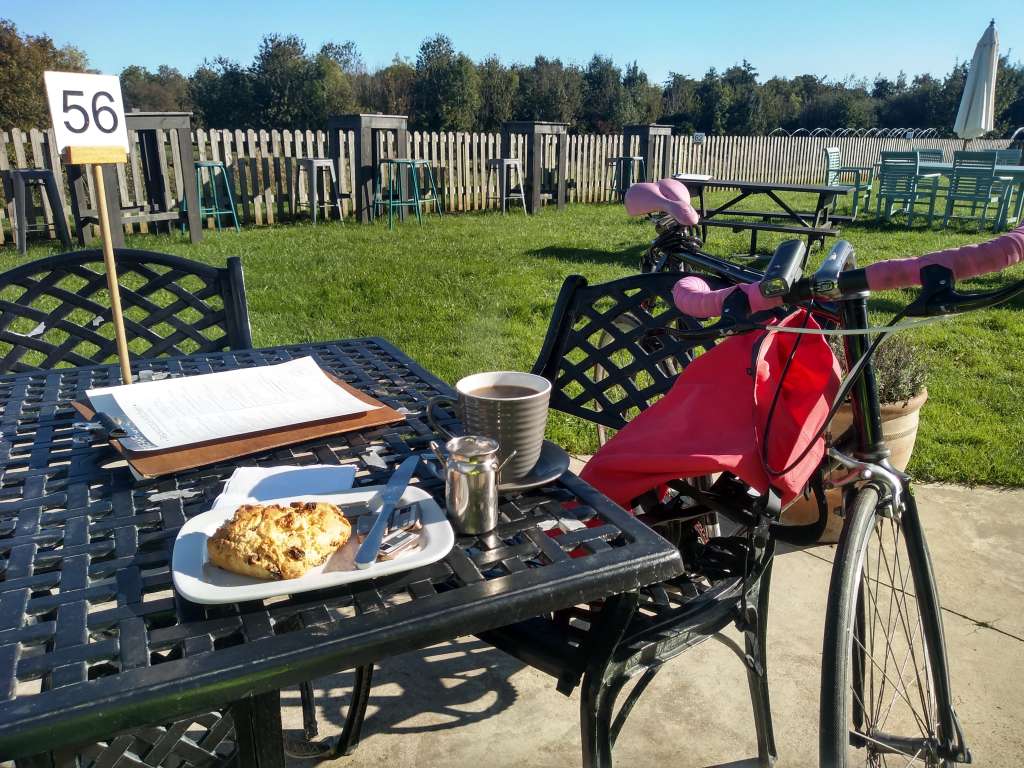 IMG_20231015_110933266_HDR