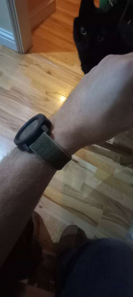 IMG_20231019_064842703