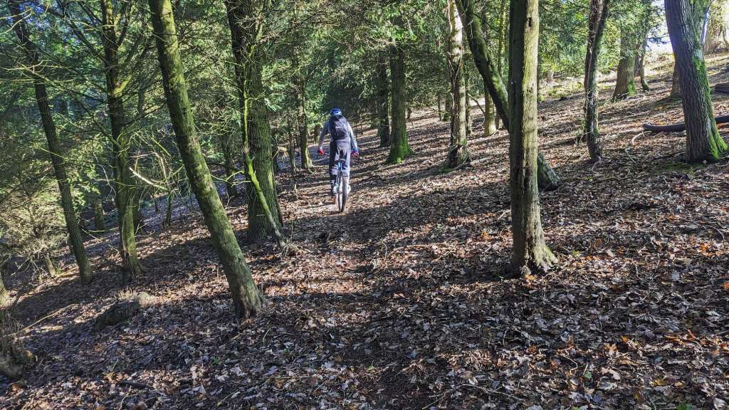 57FDB2E4-B598-4AA5-B181-EEC2EED122A1