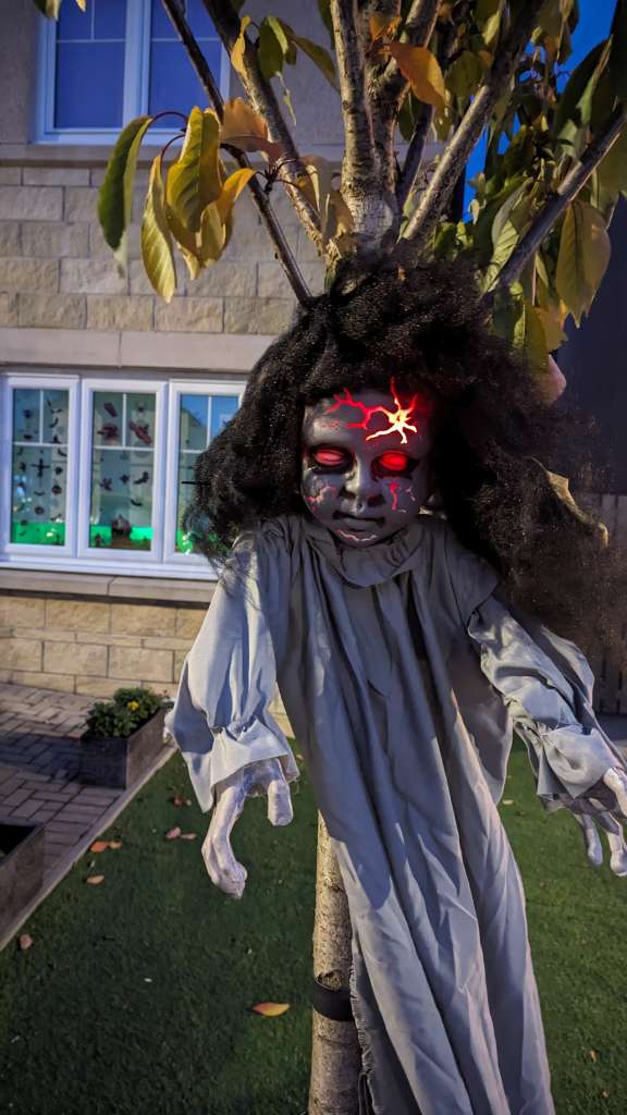 PXL_20231031_171957436.MP