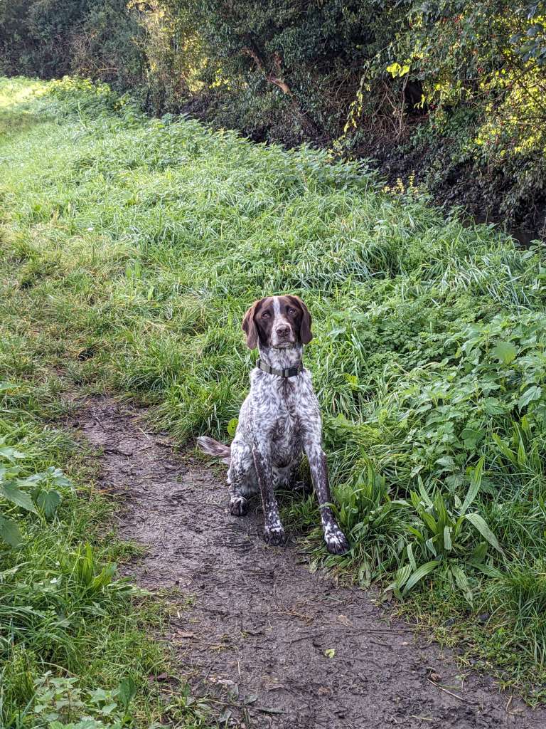 PXL_20231022_121806953