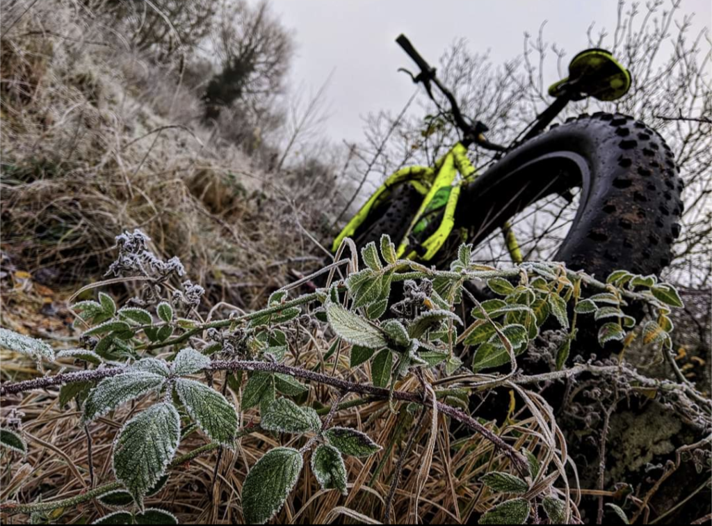 Screenshot_20231103-110631