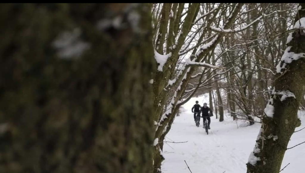 Screenshot_20231103-110443