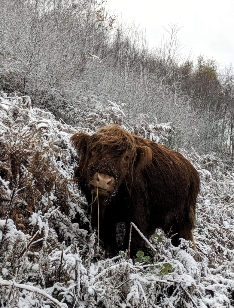 Screenshot_20231103-110845