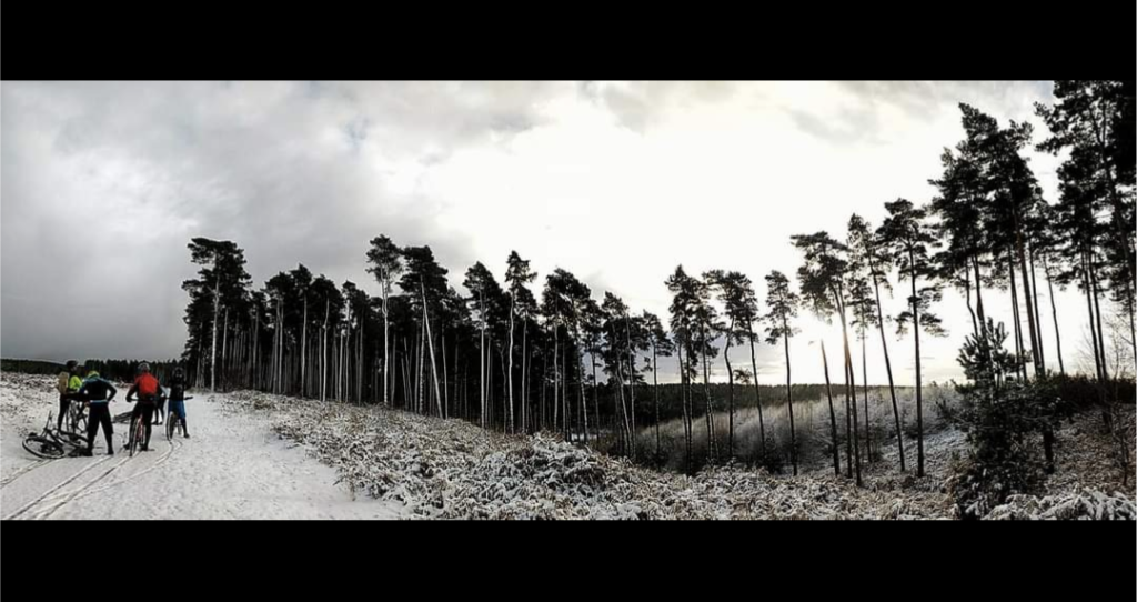 Screenshot_20231103-110301