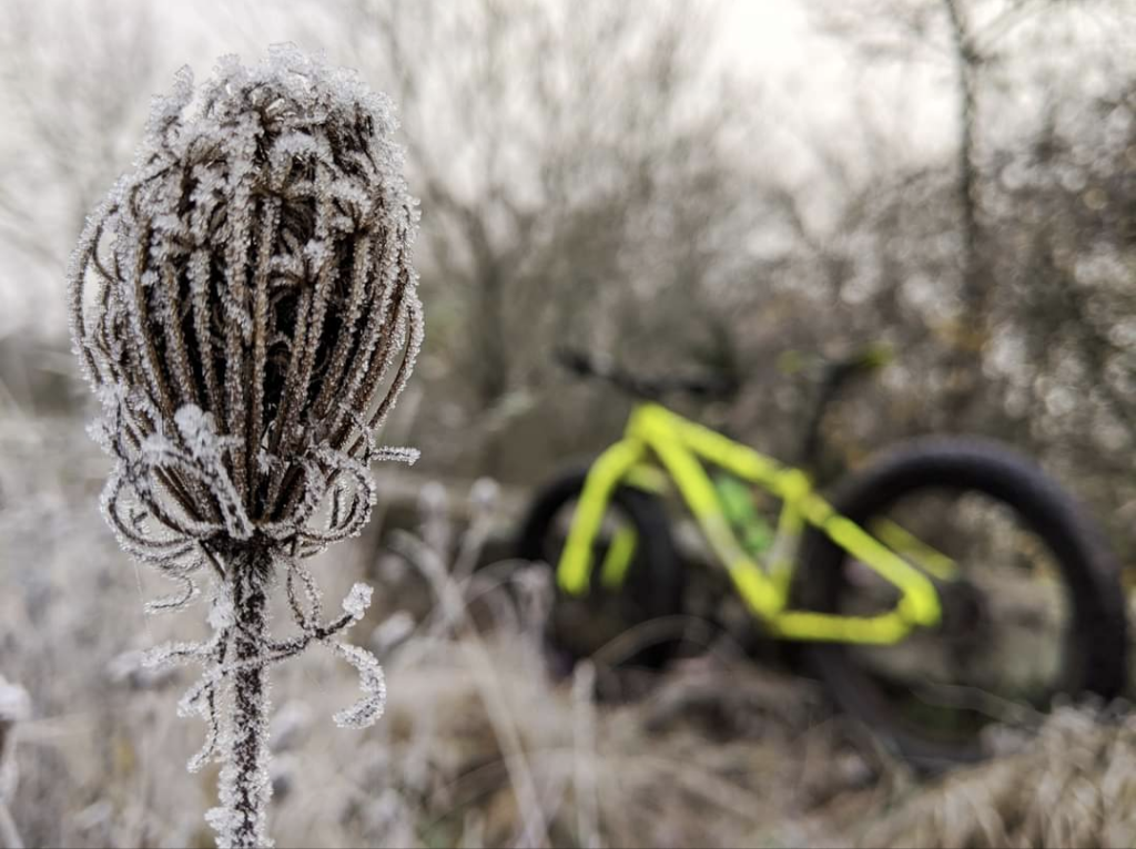 Screenshot_20231103-110615